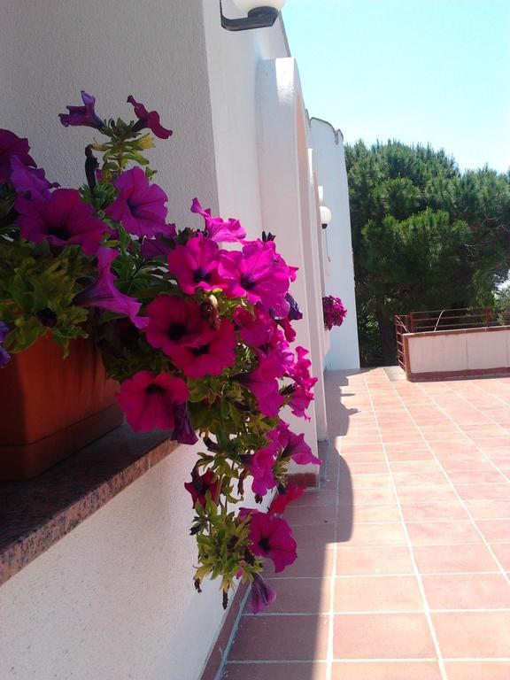 B&B Masseria Nova Torre San Giovanni Ugento Exterior photo